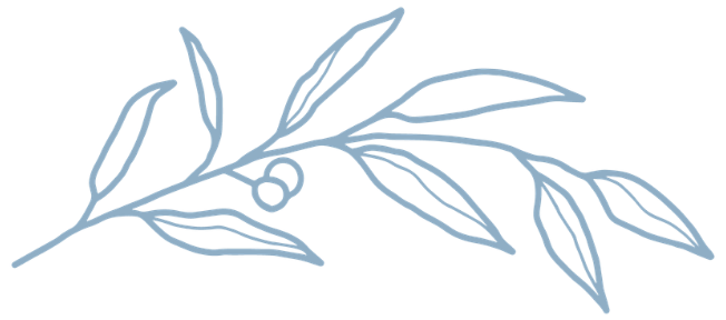 web_logo